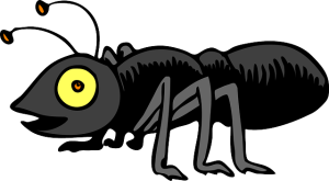 termite pest control sydney
