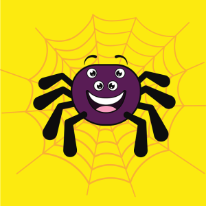 Spider Pest Control in Sydney